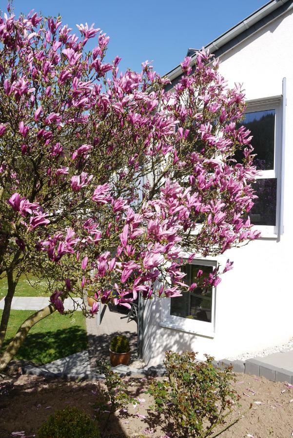 Ferienwohnung "Magnolia" Kordel Екстер'єр фото